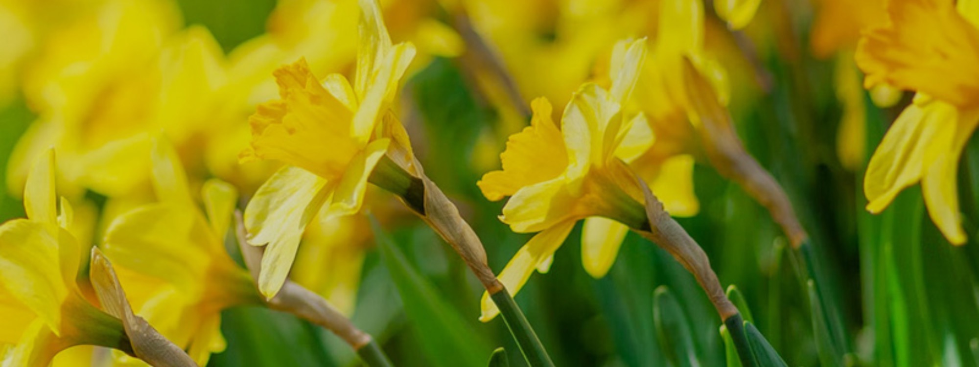 Welcome*We're glad you're here*About us